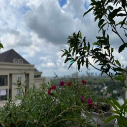 Bán lỗ căn penhouse siêu vip tầng 18. Chung cư The Art Gia Hòa,Quận9