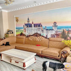 Bán nhà mới 4 tầng mặt tiền đường lớn trung tâm Q7 liền kề Phú Mỹ Hưng