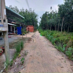 Đại hạ giá lô đất H.Gò Dầu Tây Ninh dt:5.5×78 tc:240m giá:130tr tl chủ