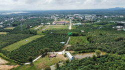 Bán vườn xoài sau lưng UBND xã La Ngà cách QL20 800m sổ sẵn bao cc