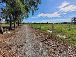 BÁN MÀ TIẾC miếng 180m2 Ngay tt GÒ DẦU chỉ 480tr SHR