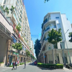 Anh Chị Tìm Diện Tích 1000m2 - Tina Có Cặp Căn Thông Nhà Phố Sala Q2.