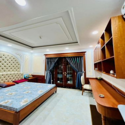 BIỆT THỰ TOÀN ĐỒ GỖ Siêu Xịn, DT 215M2 Ngang 9M ó 9PN, Phòng Gym,Gara