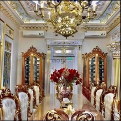 BIỆT THỰ TOÀN ĐỒ GỖ Siêu Xịn, DT 215M2 Ngang 9M ó 9PN, Phòng Gym,Gara