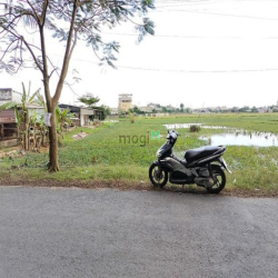 ĐẤT ĐẸP 40 X 60M MẶT TIỀN trương Thị Như, Ngã 4 Hóc Môn Ng V Bứa 20 tỷ