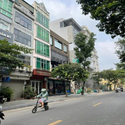 (Hiếm) bán mảnh đất vàng mặt phố Tô Hiến Thành, 342m2, mặt tiền 12m