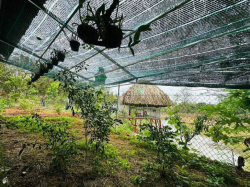 Cần trả ngân hàng bán lỗ lô đất cách QL20 700 gần cầu La Ngà đường oto