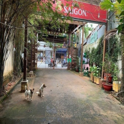 MT Nguyễn Thị Thập Q7 (500m2) _ Có Sân Rộng Để Xe Thoải Mái