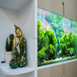 Penhouse Sunrise City khu Central - Quận 7, 182m2 sàn, 102m2 sân vườn