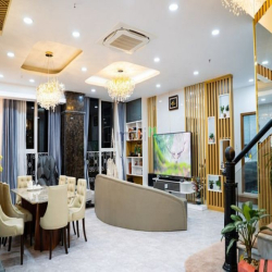 Penhouse Sunrise City khu Central - Quận 7, 182m2 sàn, 102m2 sân vườn