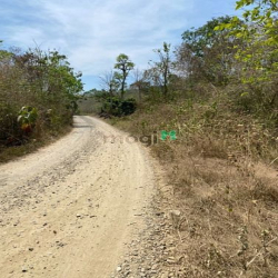 Bán đât vườn 428 m2, giá 450 triệu