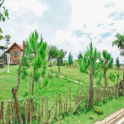 Chính chủ bán lô đất hơn 1000m2 giá 2,5 tỷ tại Bảo Lộc