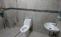 Phòng trọ cao cấp khu vực biệt thự Q2. Giờ giấc tự do, khong khí ĐL