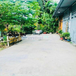 Bán đất đẹp hẻm xe hơi (4x10,5) hẻm 171 Thạnh Xuân 52 Quận 12 Vườn Cao