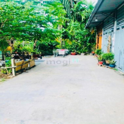 Bán đất đẹp hẻm xe hơi (4x10,5) hẻm 171 Thạnh Xuân 52 Quận 12 Vườn Cao