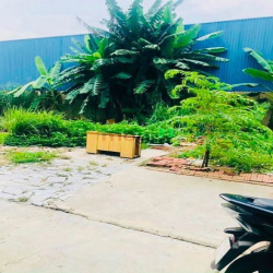 Bán đất đẹp hẻm xe hơi (4x10,5) hẻm 171 Thạnh Xuân 52 Quận 12 Vườn Cao