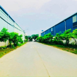 Bán đất đẹp hẻm xe hơi (4x10,5) hẻm 171 Thạnh Xuân 52 Quận 12 Vườn Cao