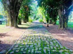 Mua 8 tỷ Bán 6 tỷ x - Biệt Thự KDC Tuyết Anh Bình Mỹ Củ Chi TpHCM