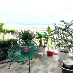 Cho thuê căn hộ Penthouse Monarchy 3PN đầy đủ nội thất sân vườn view