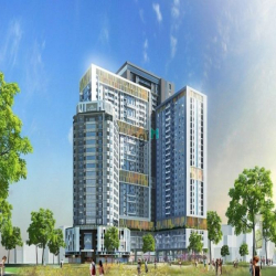 Cho thuê căn hộ Penthouse Monarchy 3PN đầy đủ nội thất sân vườn view