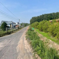 THIẾT VỐN BÁN ĐẤT Cây Da, Hiệp Thạnh, 480 triệu, TC 60m2