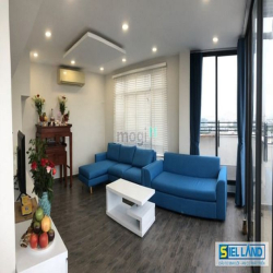 CẦN BÁN GẤP CĂN HỘ PENTHOUSE  phu my hung  -Diện tích