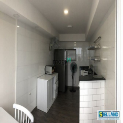 CẦN BÁN GẤP CĂN HỘ PENTHOUSE  phu my hung  -Diện tích