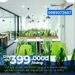 Chính chủ Cho thuê địa chỉ Đăng Ký GPKD, nhận thư , lễ tân phòng họp