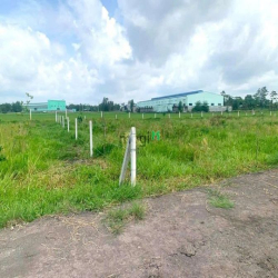 Đất trồng cây, đường xe hơi vào tận nơi, cách Tỉnh Lộ 7 150m tới đất