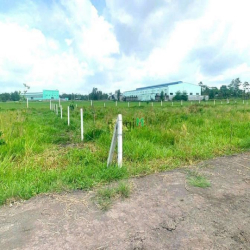 Đất trồng cây, đường xe hơi vào tận nơi, cách Tỉnh Lộ 7 150m tới đất