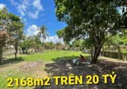 NGỘP - 2168m2 giá Trên 20 tỷ QL22 KCN Tân Phú Trung Củ Chi TPHCM