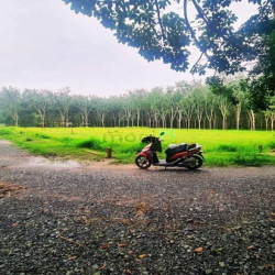 Bán lô đất góc 2 mặt tiền hẻm gần KCN Phước Đông ở Ấp Rộc B, Thạnh Đức