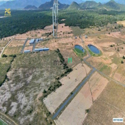 Bán gấp lô 4900m2 view biển Tuy Phong, Bình Thuận - sổ hồng riêng