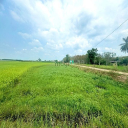 Đất trồng cây nằm liền kề khu dân cư hiện hữu