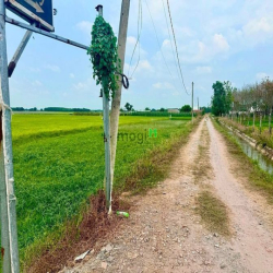 Đất trồng cây nằm liền kề khu dân cư hiện hữu