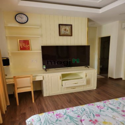 cho thuê biệt thự cao cấp phú mỹ hưng q7 y hình hcm