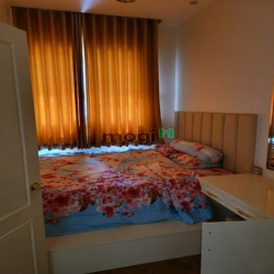 cho thuê biệt thự cao cấp phú mỹ hưng q7 y hình hcm