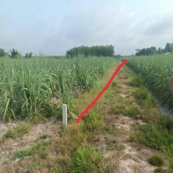 Ngôp. Bán gấp...1 công 7 (1700 mv).. có 350 mv thô cư. Mt nhiều. Rớt n