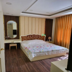 cho thuê biệt thự cao cấp phú mỹ hưng q7 y hình hcm