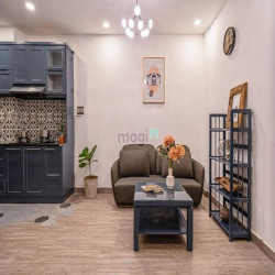 Căn Hộ Cho Thuê Sang Xịn Mịn Đakao Quận 1