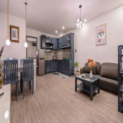 Căn Hộ Cho Thuê Sang Xịn Mịn Đakao Quận 1