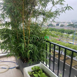 Cho thuê tòa VP MT Võ Văn Kiệt , Quận 1, hầm 7 tầng 900m2 sàn,TM, PCCC