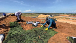 Kẹt tiền bán nhanh lô đất 100% view biển 4720m2 Tuy Phong, làm farm