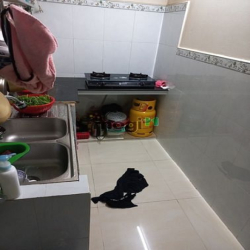 Bán Nhà Gấp -Quận 7,Huỳnh Tấn Phát,Khu Dân cư an Ninh