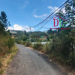 Bán đất  hai mặt tiền Cam Ly phường 7 Đà Lạt view thung lũng cực đẹp
