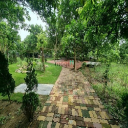 Cho thuê nhà và đất ở Tứ liên  3500m2 làm Homestay, nhà hàng hoặc để ở