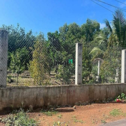 Chủ kẹt tiền Bán đất gần vòng xoay tân châu Tây Ninh giá:580 triệu SHR