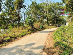 Bán đất Đặng Thái Thân Phường 3 Đà Lạt thích hợp đầu tư sinh lời