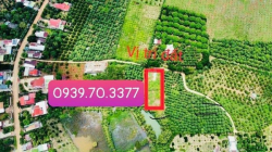 Bán lô đất gần Hồ Trị An 1102m sẵn 100m thổ 775tr NH hỗ trợ 50%