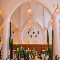 Sốc! Cho Thuê MT Ngang 10M Lý Tự Trọng, Quận 1, DTSD: 230m2